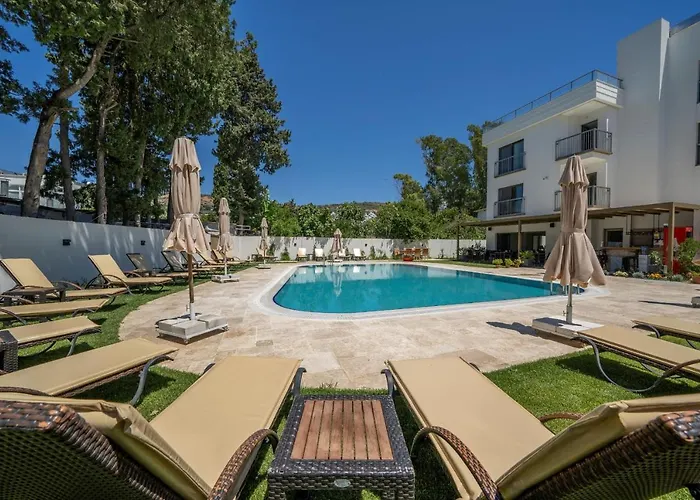 Olive Tree 4* Αλικαρνασσός