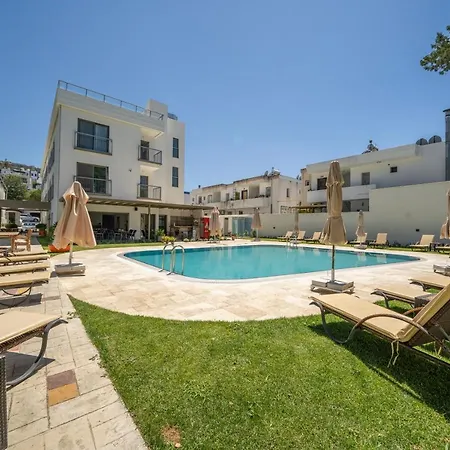 Olive Tree 4*